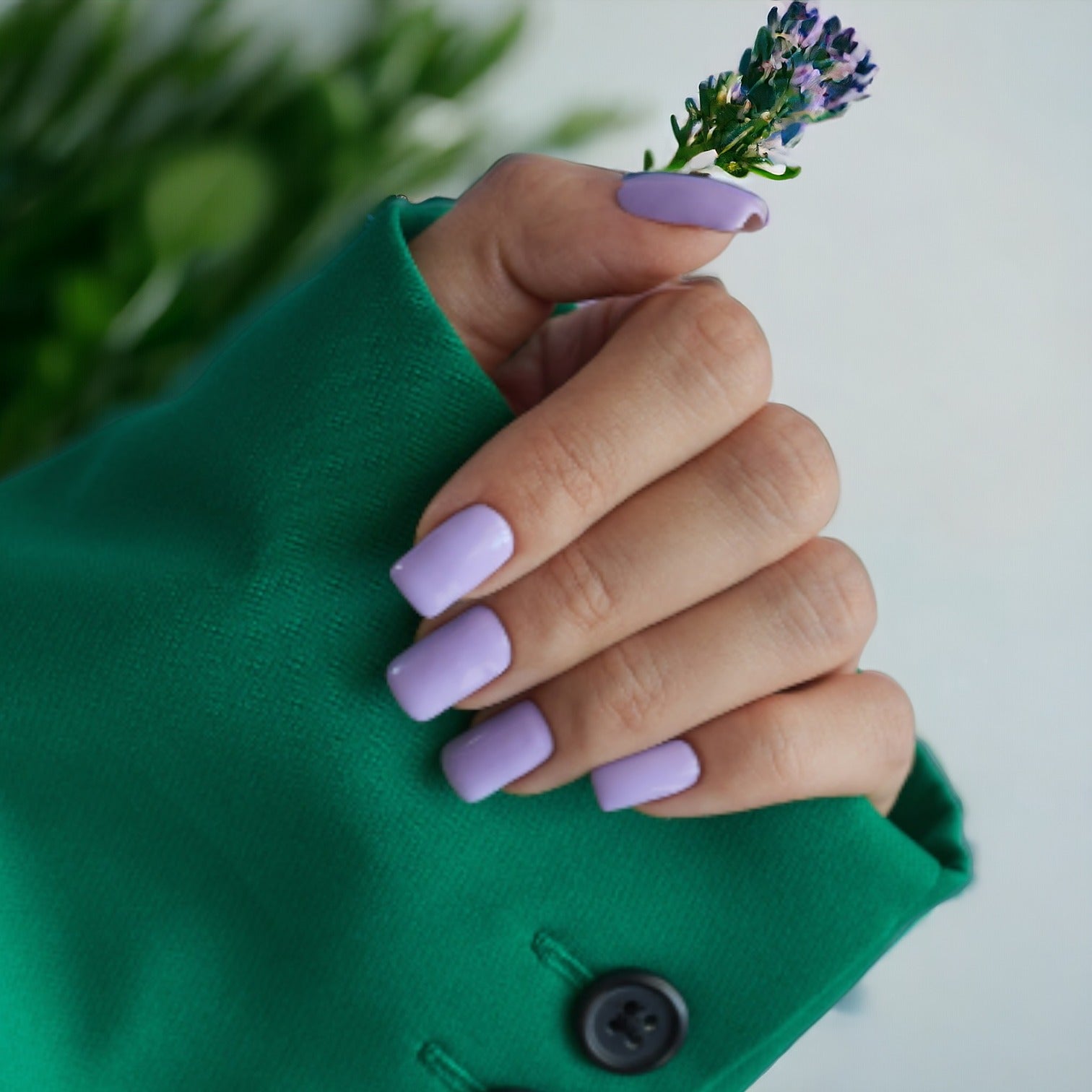 Lavendel dip powder