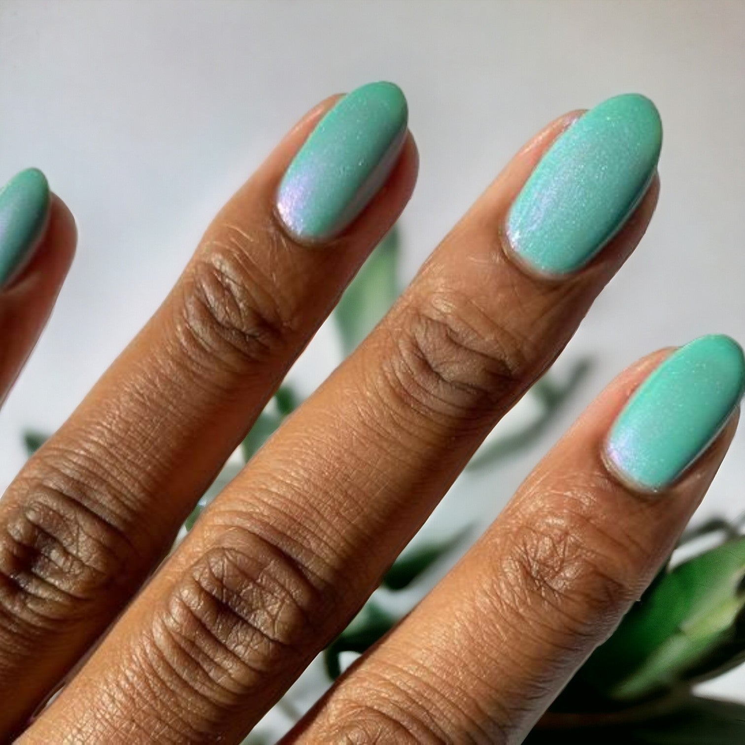 Ocean shine dip powder