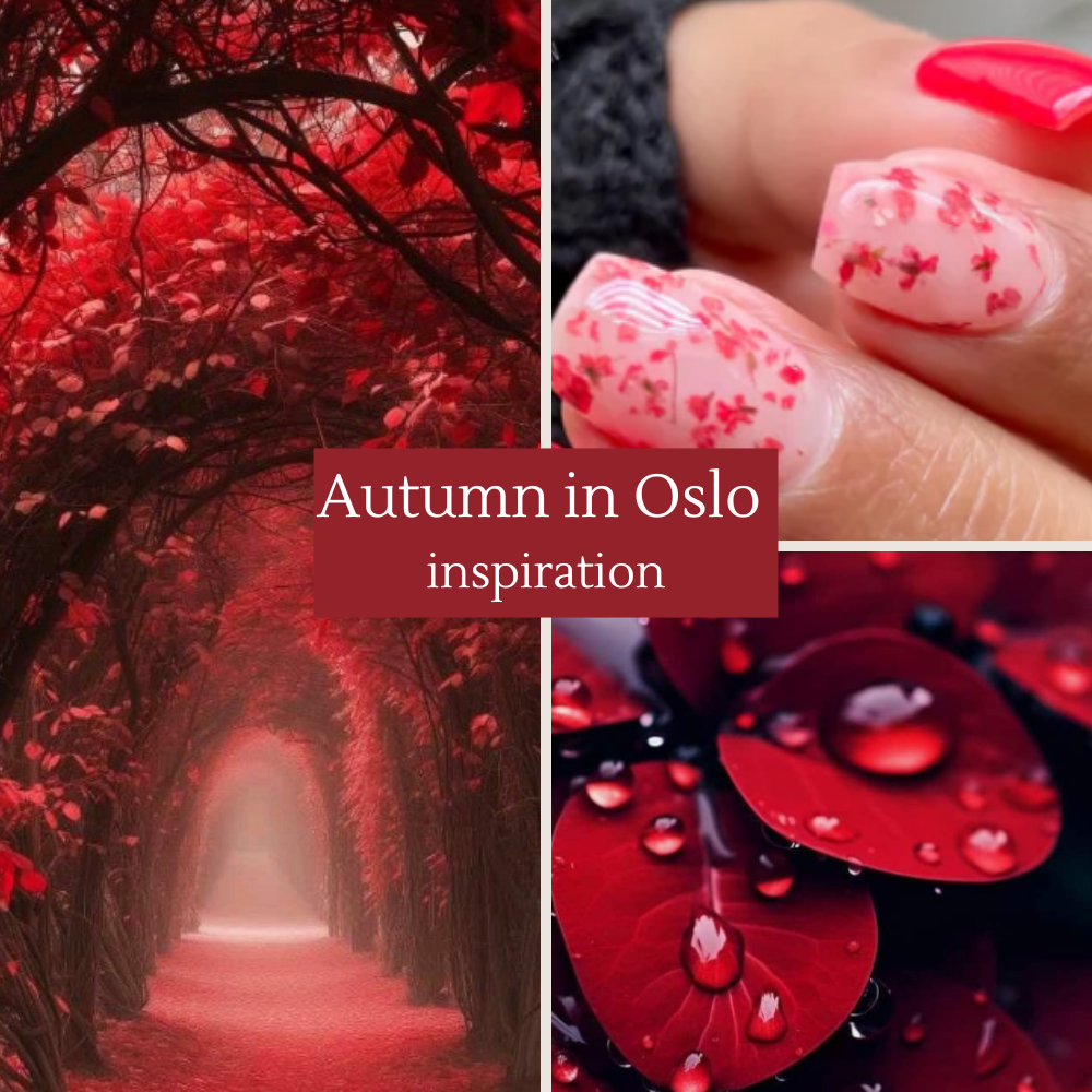 Autumn in Oslo dip powder